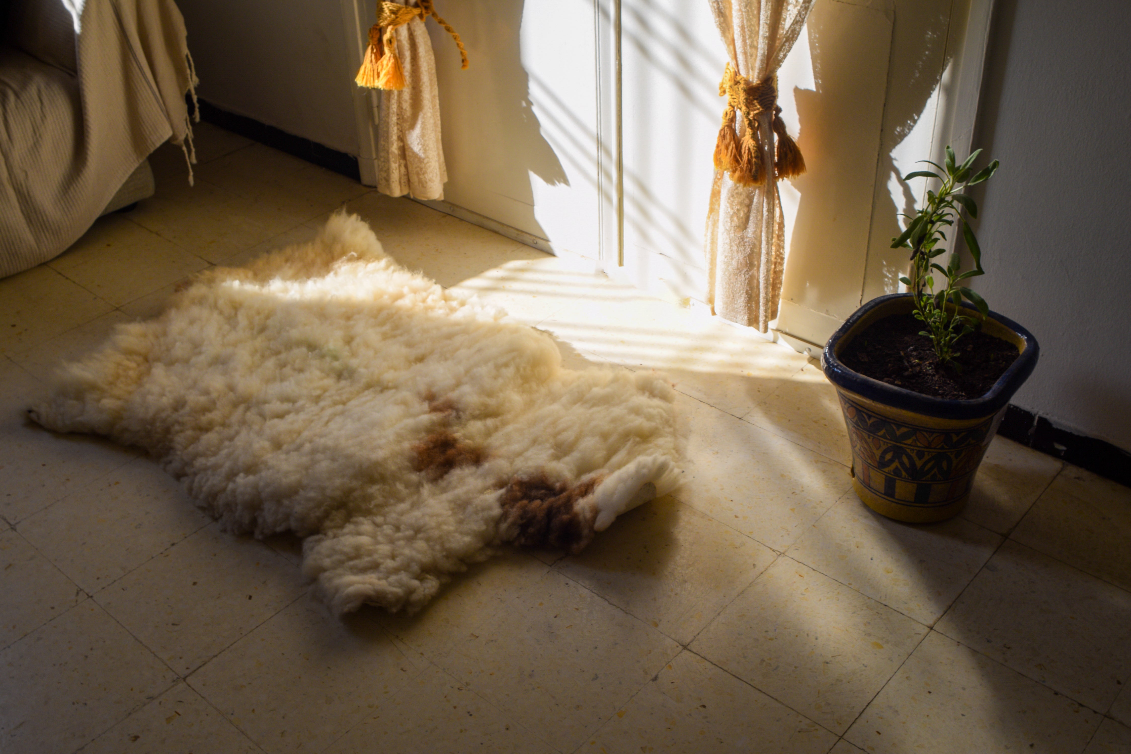 Tapis en Peau de Mouton Naturelle