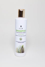 shampoing a l huile de noyaux de dattes 250 ml